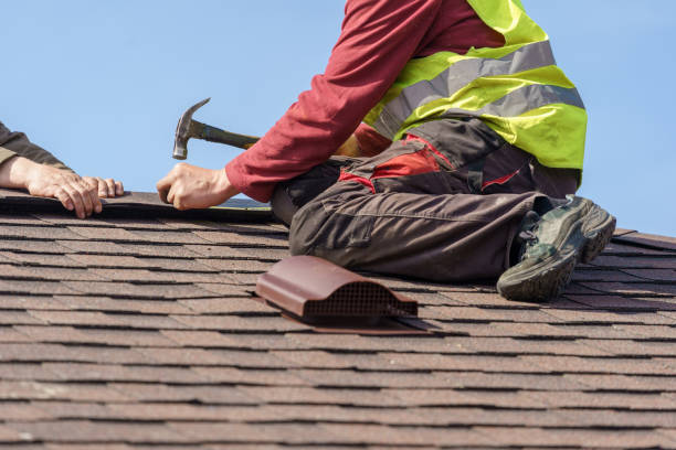 Best Affordable Roof Replacement  in Wyandotte, MI