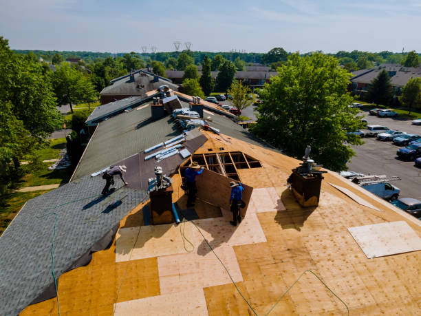 Best Residential Roofing Contractor  in Wyandotte, MI