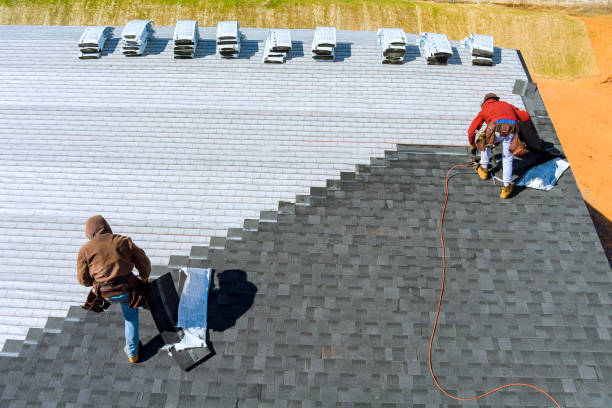Best Storm Damage Roof Repair  in Wyandotte, MI
