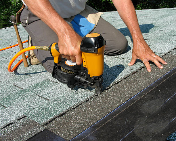 Best Roof Inspection Near Me  in Wyandotte, MI