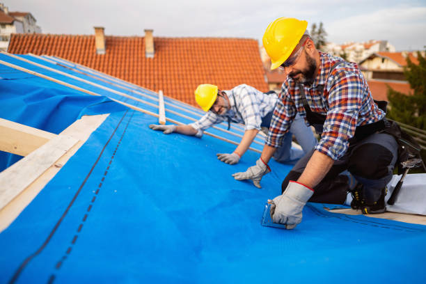 Best Residential Roofing Contractor  in Wyandotte, MI