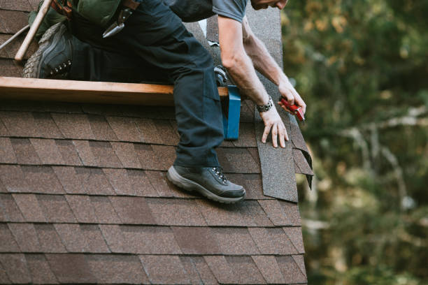 Best Roof Restoration Services  in Wyandotte, MI