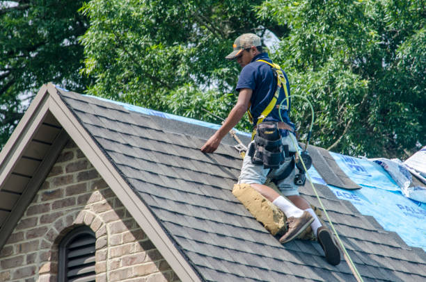 Best New Roof Installation  in Wyandotte, MI