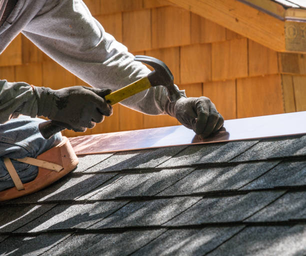 Best Roof Gutter Cleaning  in Wyandotte, MI